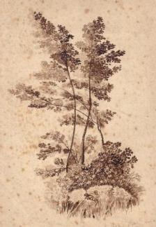 Sépia de sa mère