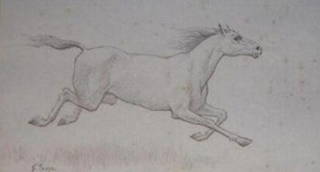 dessins